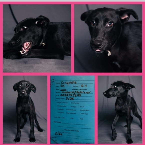 Hello! Thank you for visiting our closet! - Picture 6 of 10